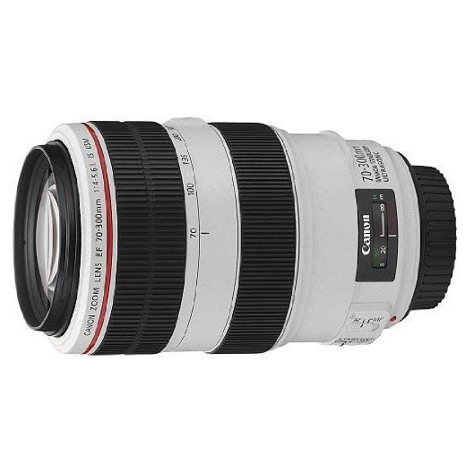 Canon EF 70-300mm f4-5.6 L is USM Objectifs