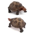 thumbnail image 2 of IROINID Tortoise Animal Figurines Toys Home Decorate Preschool Educational, 2 of 3
