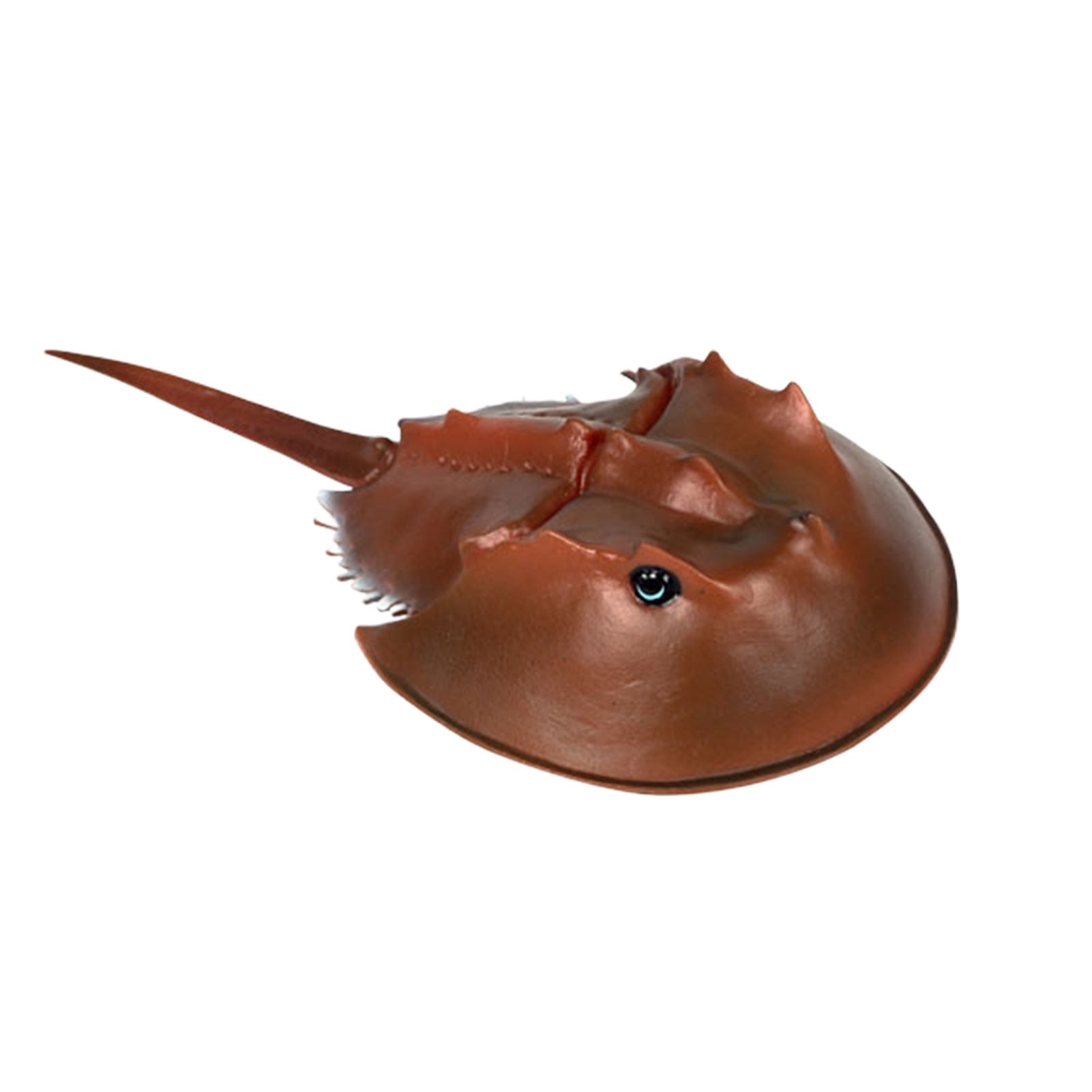 ZheElen Modèles de Jouets Éducatifs Marins pour Enfants et Requins Modèle de Jouet Réaliste Requin Tachypleus tridentat