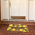 thumbnail image 2 of Natural Summer Doormat with Non-Slip Backing, Funny Cute Front Floor Carpet Rugs for Kitchen mats, Front Back Doors, Pets and Dogs, Home Indoor Outdoor Decorations, 2 of 5