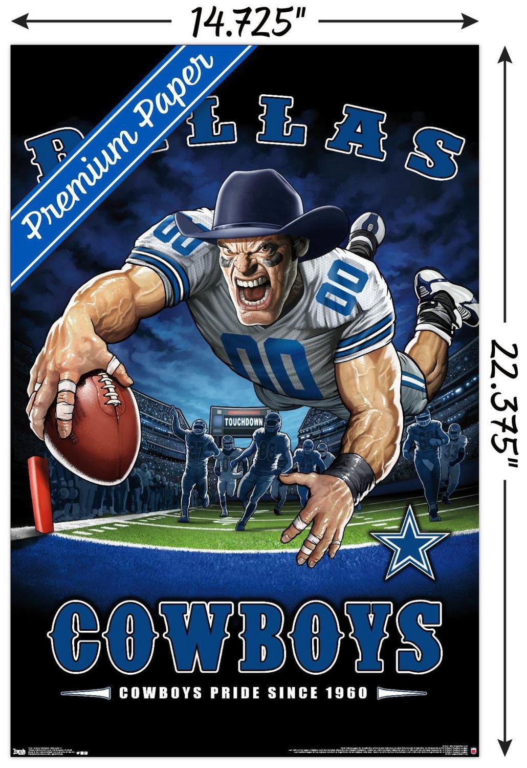 NFL Dallas Cowboys - End Zone 17