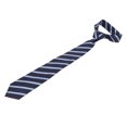 thumbnail image 1 of Cravate Rayée, Cravates pour Hommes Cravate Classique Bleue pour Homme Cravate de Cou Conçue pour l'Avenir, 1 of 8