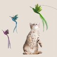 thumbnail image 2 of Cat Catcher Head Feather Bird Replacement Heads Simulation Bird Cat Toy Kitten Wand Toy Interactive Cat Feather Toys A3, 2 of 6