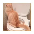 thumbnail image 3 of Cat Toilet Training Kit, 38*37cm Help Train Your Cat To Use Toilet, 3 of 5