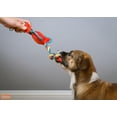 thumbnail image 5 of Hartz Tuff Stuff Nose Divers Small Dog Toy, 5 of 5
