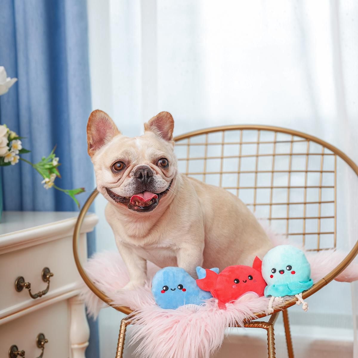 Hugsmart Créatures marines Peluche pour chien