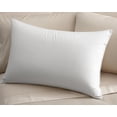 thumbnail image 3 of Coolmax Moisture Wicking Cotton Pillow (Set of 2), 3 of 3