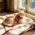 thumbnail image 4 of Pet Harness and Leash Set, Breathable Mesh Vest with Adjustable Straps, Color Block Dog Cat Walking Strap, Polyester, Orange/Pink/Red/Green/Blue, 1 Set, 4 of 6