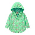 thumbnail image 1 of Veste pour Tout-Petit Coupe-Vent à Capuche avec Fermeture Éclair Imperméable pour Filles en Liquidation, 1 of 9