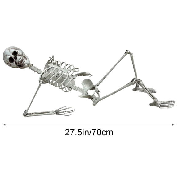 Fridja Christmas Party Decorations 170cm Halloween Skeleton Prop Human Full Size Skull H Life Body Anatomy Model Decor