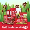 thumbnail image 3 of AERO Milk Chocolate Easter Lamb, 3 of 11
