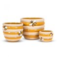 thumbnail image 3 of Set of 4 Beehive Planter, 3 of 3