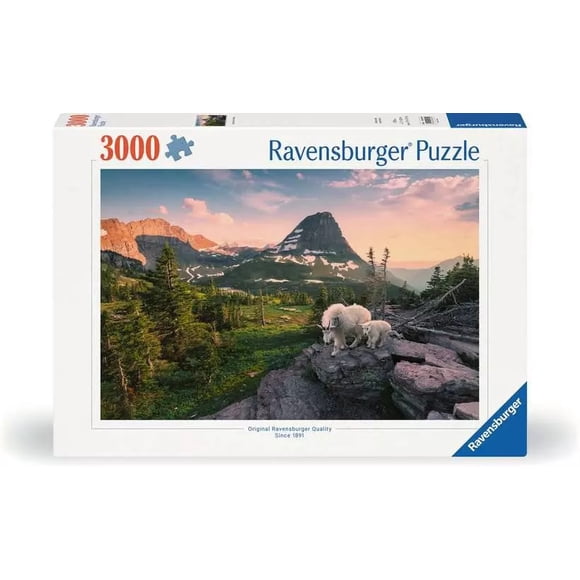 Ravensburger 12000809 Jigsaw puzzle 3000 pc(s) Other