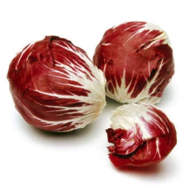 100 Radicchio di Treviso vegetable seeds for growing chicory plants with dark burgundy and white variegated leaves. The image shows mature radicchio heads resembling small romaine lettuce, popular in Italian cooking for their bitter and spicy taste that mellows when cooked. Suitable for garden seed starters, outdoor planting after frost, or indoor planting weeks before the last frost.