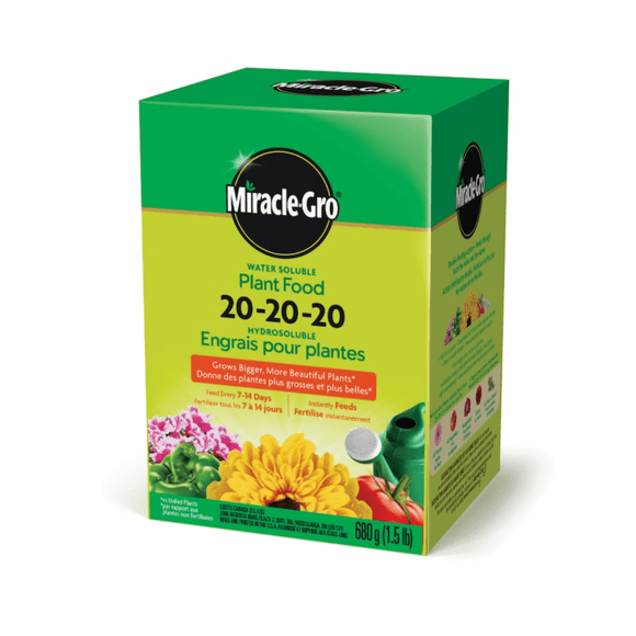 pack of 3 - Miracle-Gro Water Soluble All Purpose Plant Food, 500 g