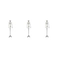 thumbnail image 3 of ZheElen Plastic Skeleton Posable Joints For Unique Halloween Decoration Size For Needs Posable Joints Skeletons 3Set, 3 of 6