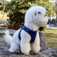 thumbnail image 5 of Pet Chest Harness Reflective And Breathable Dog Leash Easy Control For Small Dog XS S M L XL, 5 of 5