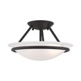 thumbnail image 2 of Livex 4823-04 2 Light Bowl Semi-Flush Mount&amp;#44; Black, 2 of 4