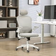 thumbnail image 2 of Vinsetto Mesh Office Chair with 4D Lumbar Support, Adjust Headrest, Grey, 2 of 10