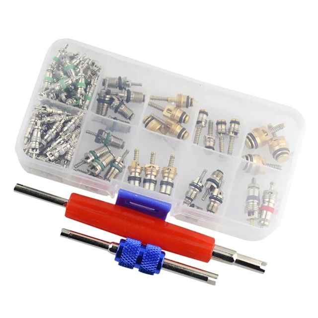 Kit de Noyaux de Valve de Schrader de Système de Climatisation avec l'Outil de Démontage - 102pcs pour R12/R134A HVAC