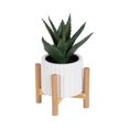 thumbnail image 1 of hometrends Parmalee Agave Ribbed White Pot, 1 of 9
