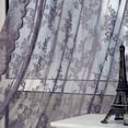 thumbnail image 3 of Flower Sheer Curtain Tulle Window Voile Drape Valance 1 Panel Fabric, 3 of 4