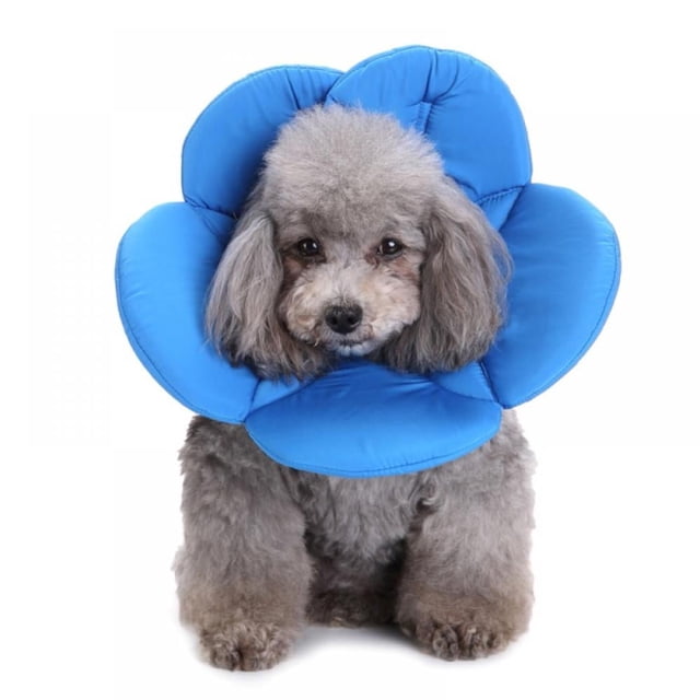 Recuperation Cône E-Collier pour Chats Chiens Fleur Doux Dacron Éponge Collier de Protection