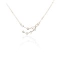 thumbnail image 1 of pitrice Ins Constellations Theme Friendship Necklace Rhinestone Comfortable Delicate with Display Card Pendant for Lover Festival Gifts Capricorn Silver, 1 of 5