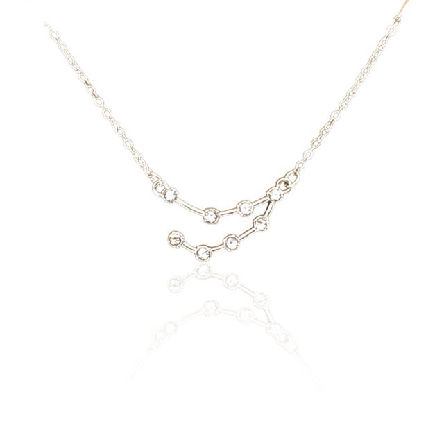 pitrice Ins Constellations Theme Friendship Necklace Rhinestone Comfortable Delicate with Display Card Pendant for Lover Festival Gifts Capricorn Silver