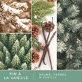 thumbnail image 4 of Cubes de cire parfumée ScentSationals - Pin Vanille, 4 of 6
