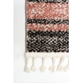 thumbnail image 2 of ECARPET Southwestern Rug for Hallway, Kitchen Earth Collection, 2 of 9