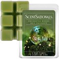 thumbnail image 1 of ScentSationals Scented Wax Cubes, Enchanted Woods, 1 of 5