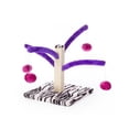 thumbnail image 3 of Prevue Pet Bounce 'n Spring Just Cat Scratcher, 3 of 5