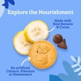 thumbnail image 3 of GERBER Lil' Explorers Banana Chocolate Chip Biscuits, 1 Yr & Up, Made With Real Fruit, 3 of 9
