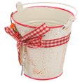 thumbnail image 2 of 1Pc Decorative Iron Flowerpot Bucket Creative Flower Holder Home Adornment Prop, 2 of 8