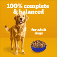 thumbnail image 3 of PEDIGREE VITALITY+ Dry Food For Adult Dogs – Roasted Chicken & Vegetable Flavour - Supports Strong Bones and Healthy Teeth – With Calcium 8kg, 3 of 14