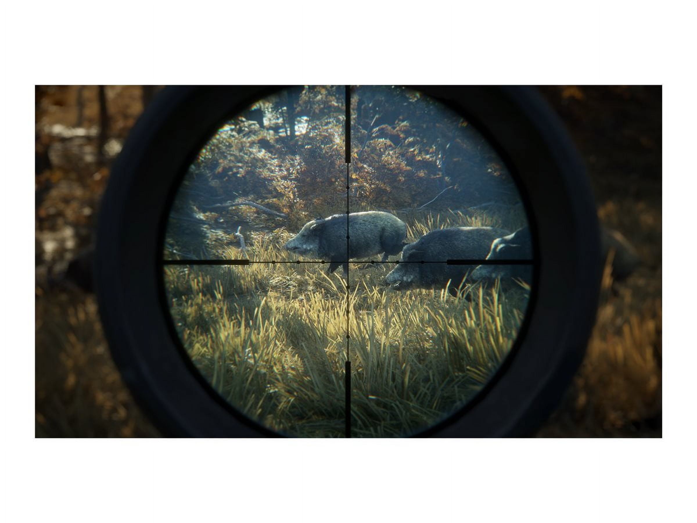 Jeu vidéo The Hunter Call of The Wild pour (PS4)