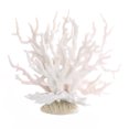 thumbnail image 1 of Bingirl Fake Coral Multi-purpose Pollution-free Simulation Beautiful Water Grass Fish Tank Aquarium Decoration, 1 of 9