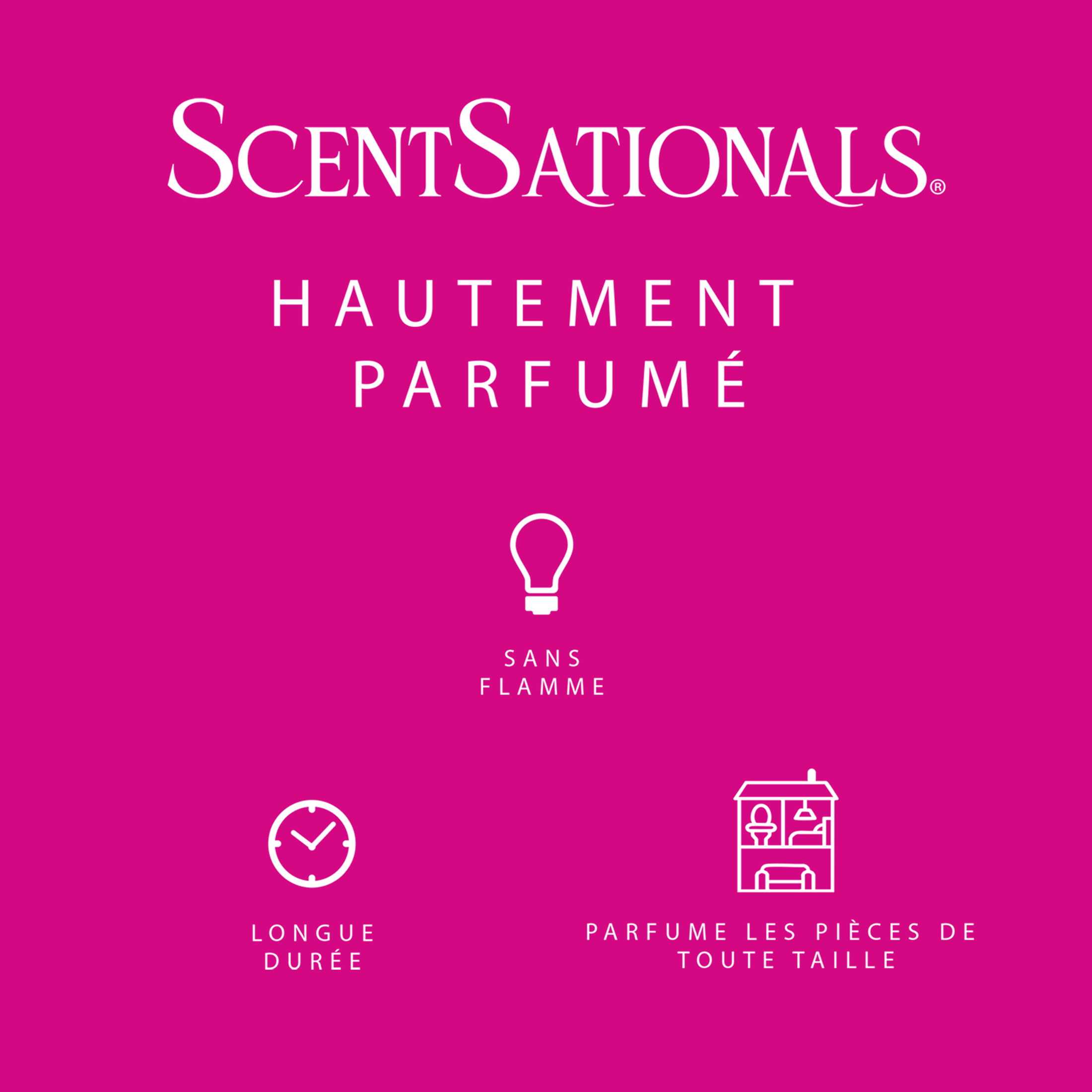 ScentSationals Scented Wax Cubes - Girlfriend Night