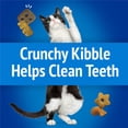 thumbnail image 4 of Purina Friskies Party Mix Croquant Océan Gâteries pour Chats 170g, 4 of 9