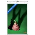 thumbnail image 2 of Wicked - Fiche d'introduction, 2 of 4