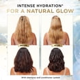 thumbnail image 3 of Pantene Baobab Nutrient Blends Hydrating Glow Sulfate-free Conditioner, 3 of 8