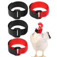 thumbnail image 3 of Bunblic Ensemble de 4 Poules Réglables Réduction de Bruit Anti-Corbeau pour Kit de Volaille de Ferme 4 Pcs, 3 of 8