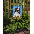 thumbnail image 2 of Carolines Treasures SC9078GF Welsh Springer Spaniel Drapeau - Taille Jardin, 2 of 3