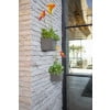 thumbnail image 4 of CUBE RAIL PLNTR GR - FRENCH, 4 of 9