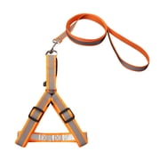 TIMIFIS Dog Leash Dog Collars, Harnesses & Leashes Pet Dog Collar Traction Rope High Quality Outdoor Anti-lost Nylon Ropes Training Leash Slip Lead Strap Collar