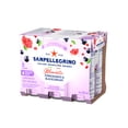 thumbnail image 3 of SAN PELLEGRINO MOMENTI Eau Pétillante Grenade Cassis6x330ml, 3 of 5