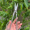 thumbnail image 4 of Pruning Shears for Gardening Stainless Steel Ergonomic Handle Pruning Shears 7.68 Inch for Garden, 4 of 7