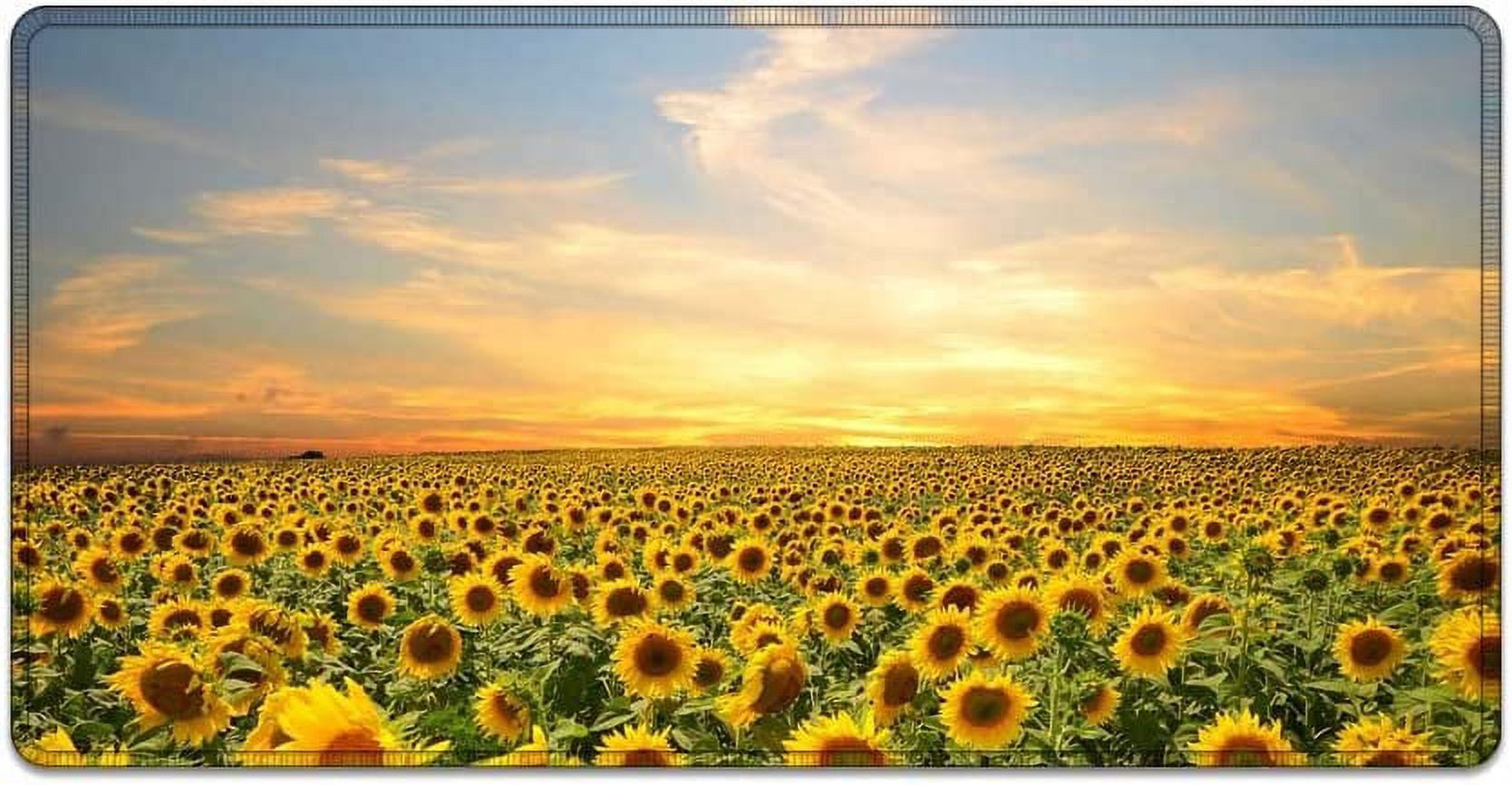 Large Mouse Pad 31.4 x 15.7inches 3mm XXL Extended Gaming Mouse Pad Mat with Non-Slip Base Stitched Mousepad for Computer,Office,Keyboard and Laptop-Evening Sunflower,Waterproof Desk Mat