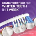 thumbnail image 3 of Oral-B Pulsar Whitening Battery Powered Toothbrush, Soft, 3 of 14